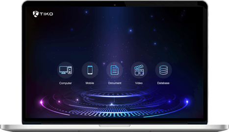 Fornax-2000 - Meiya Pico